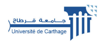 Université de Carthage